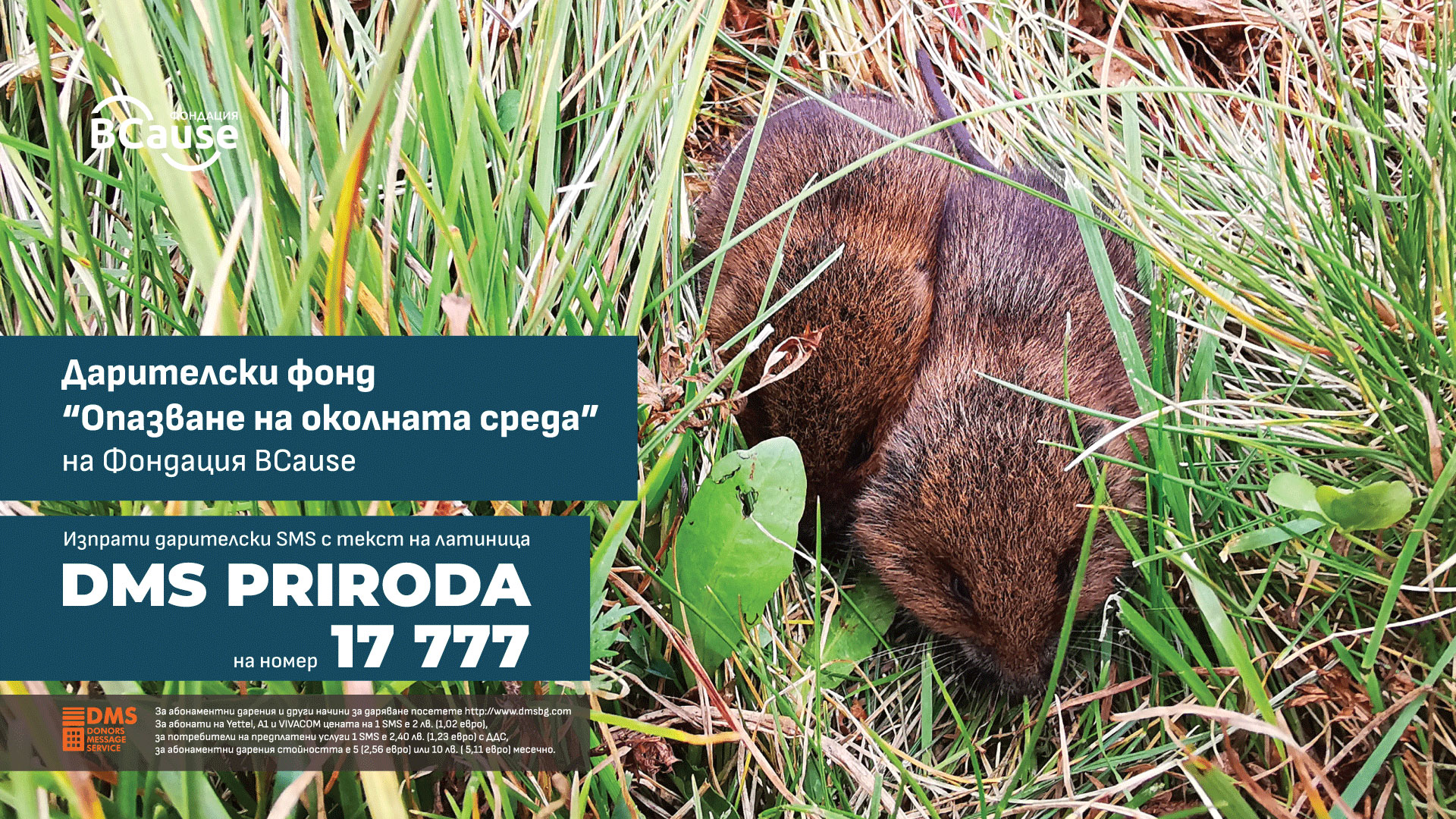 priroda fund 1080x1350 v1